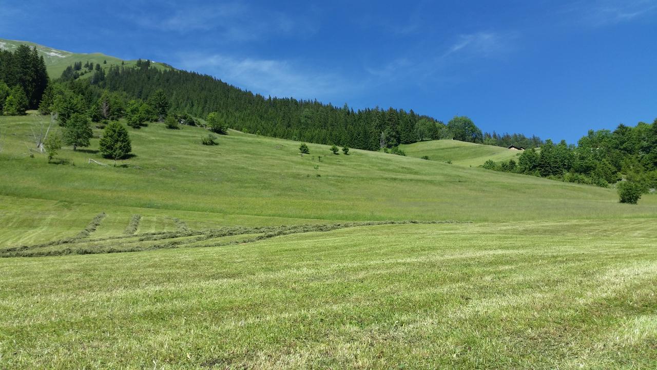 Auszeit Chalets Bschlabs Bagian luar foto
