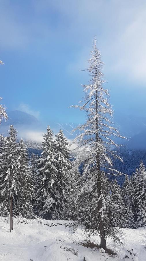 Auszeit Chalets Bschlabs Bagian luar foto